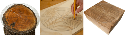 EZ-Align 10" Layout & Centering Template